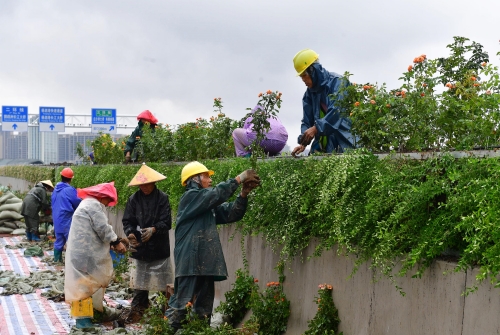 ²Ê°ËÏÉ¡¤(ÖйúÓÎ)ÓÐÏÞ¹«Ë¾¹ÙÍø