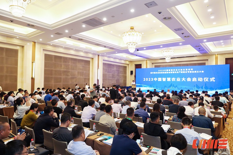 �ʰ��ɡ�(�й���)���޹�˾����