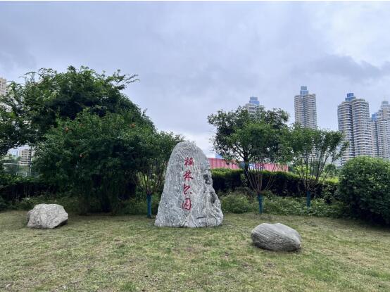 �ʰ��ɡ�(�й���)���޹�˾����