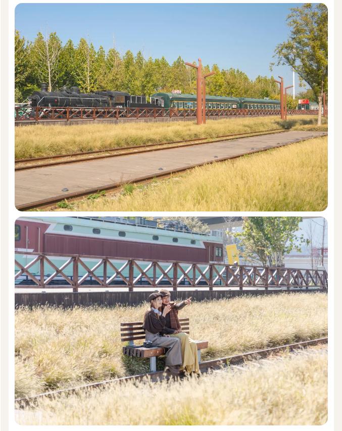 1730166963915310.jpg 13.jpg