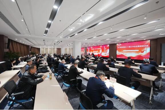 1732496339129377.jpg 01.jpg