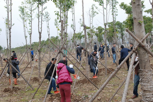 彩八仙·(中国游)有限公司官网