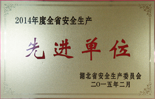 �ʰ��ɡ�(�й���)���޹�˾����