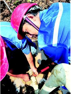 ²Ê°ËÏÉ¡¤(ÖйúÓÎ)ÓÐÏÞ¹«Ë¾¹ÙÍø