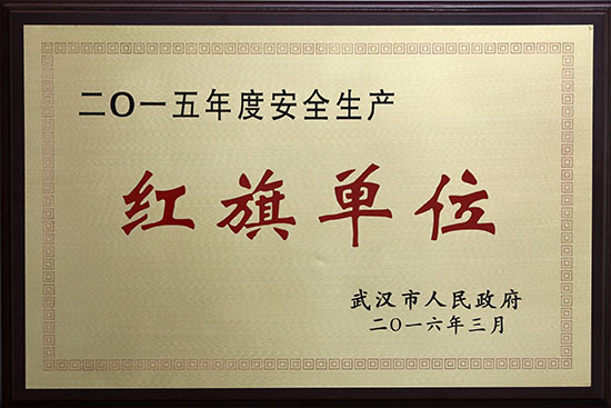 �ʰ��ɡ�(�й���)���޹�˾����