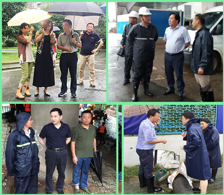 �ʰ��ɡ�(�й���)���޹�˾����