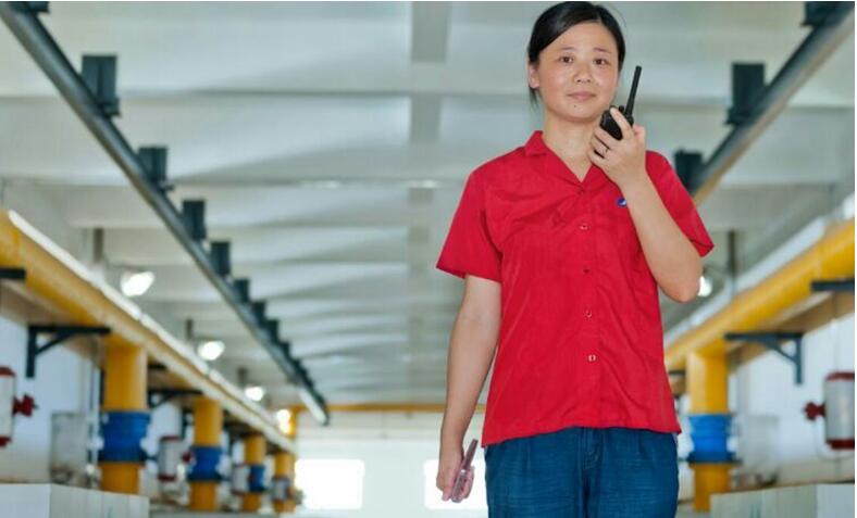 �ʰ��ɡ�(�й���)���޹�˾����