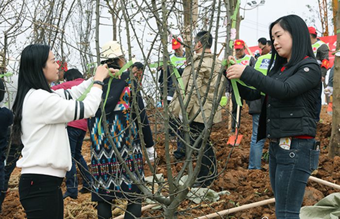 �ʰ��ɡ�(�й���)���޹�˾����