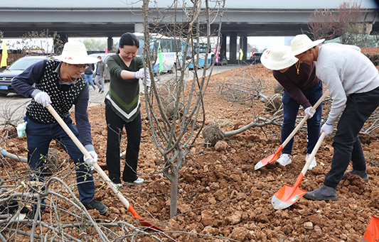 �ʰ��ɡ�(�й���)���޹�˾����