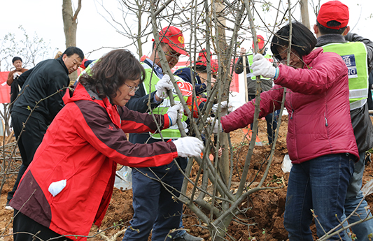 �ʰ��ɡ�(�й���)���޹�˾����