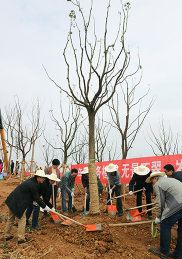 �ʰ��ɡ�(�й���)���޹�˾����