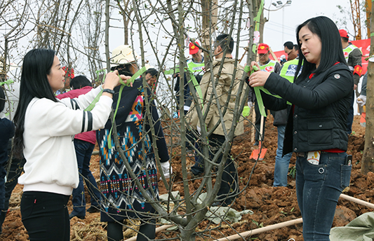 �ʰ��ɡ�(�й���)���޹�˾����