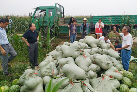 彩八仙·(中国游)有限公司官网