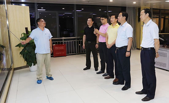 �ʰ��ɡ�(�й���)���޹�˾����