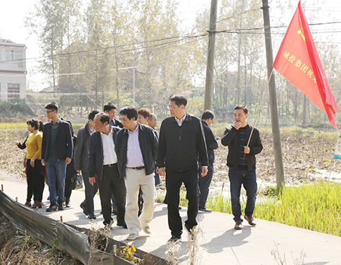 彩八仙·(中国游)有限公司官网