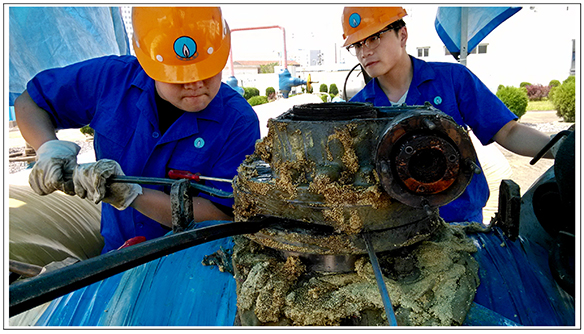 �ʰ��ɡ�(�й���)���޹�˾����