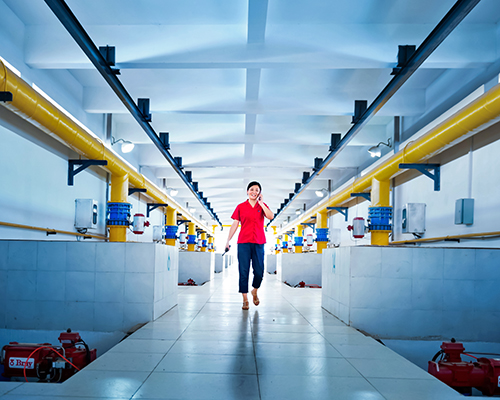 �ʰ��ɡ�(�й���)���޹�˾����