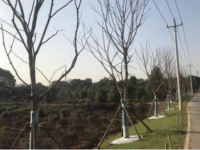 ²Ê°ËÏÉ¡¤(ÖйúÓÎ)ÓÐÏÞ¹«Ë¾¹ÙÍø