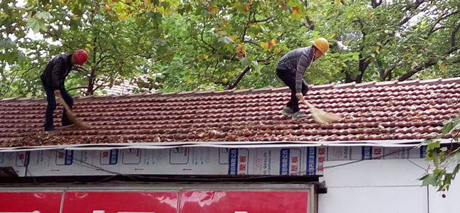 �ʰ��ɡ�(�й���)���޹�˾����