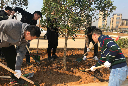 �ʰ��ɡ�(�й���)���޹�˾����