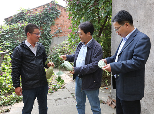 �ʰ��ɡ�(�й���)���޹�˾����