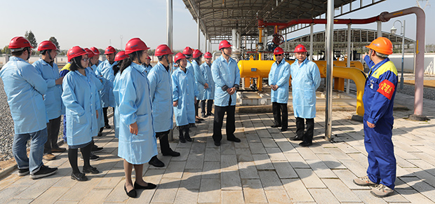 �ʰ��ɡ�(�й���)���޹�˾����