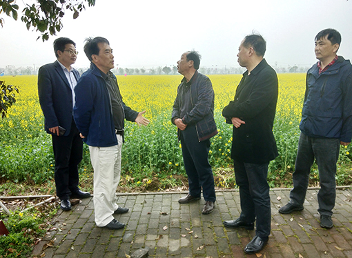 �ʰ��ɡ�(�й���)���޹�˾����