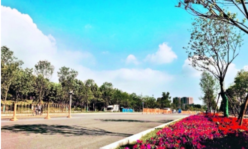 �ʰ��ɡ�(�й���)���޹�˾����