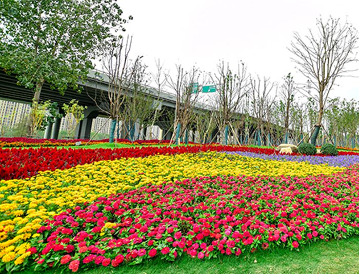 ²Ê°ËÏÉ¡¤(ÖйúÓÎ)ÓÐÏÞ¹«Ë¾¹ÙÍø