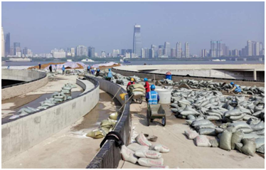 彩八仙·(中国游)有限公司官网